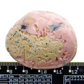 Natuurlijk roze mineraal uit Argentinië