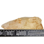 Mooie dogtooth calciet uit Marokko, 1660 gram