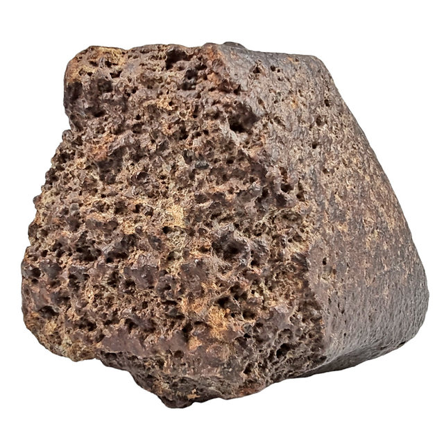 Chondiet uit de Sahara 2,7 kg