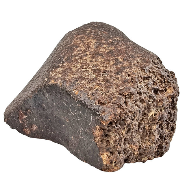 Chondiet uit de Sahara 2,7 kg