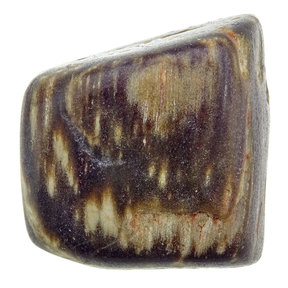 Versteend hout getrommeld