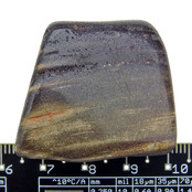 Petrified wood from Indonesia Petrified wood from Indonesia