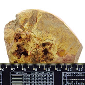 Polychrome jasper, polished on one side 475 grams Polychrome jasper, polished on one side 475 grams