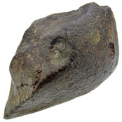 Chondiet uit de Sahara, 390 gram Chondiet uit de Sahara, 390 gram