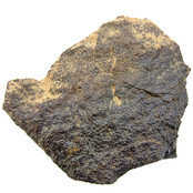 Chondiet uit de Sahara, 555 gram Chondiet uit de Sahara, 555 gram