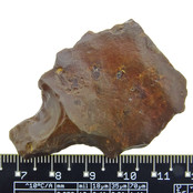 Neolithic Arrowhead Neolithic Arrowhead