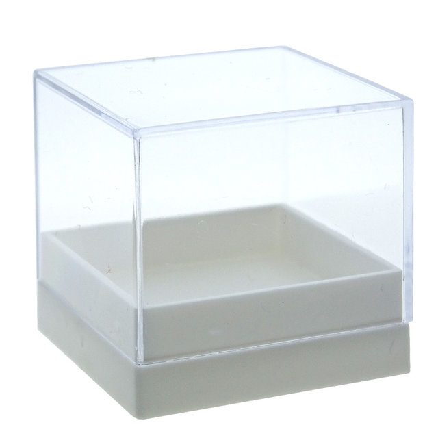 10 pieces storage box 2.5 x 2.5 cm 10 pieces storage box 2.5 x 2.5 cm