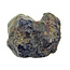 Lahmada 049 pallasiet meteoriet
