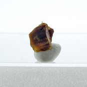 Rare vayrynenite crystal Rare vayrynenite crystal