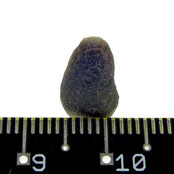 Australite is a special Australian tektite