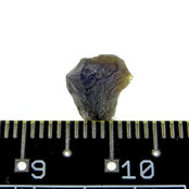 Australite ist ein spezieller australischer Tektit Australite ist ein spezieller australischer Tektit