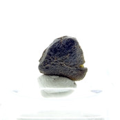 Australite is a special Australian tektite