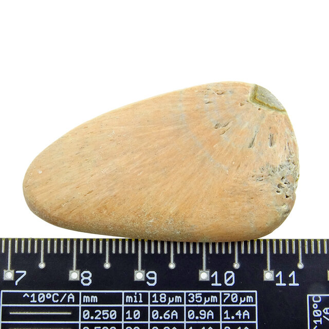 Celestobarite from England