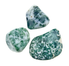 Beautiful tumbled tree agate