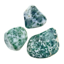 Tree agate, 3 stones