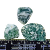Beautiful tumbled tree agate Beautiful tumbled tree agate