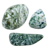 Beautiful tumbled tree agate Beautiful tumbled tree agate
