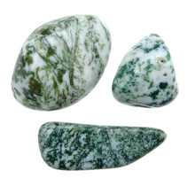 Beautiful tumbled tree agate