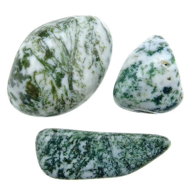 Beautiful tumbled tree agate Beautiful tumbled tree agate