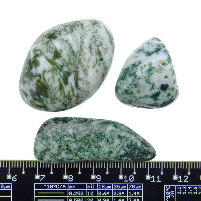 Beautiful tumbled tree agate Beautiful tumbled tree agate