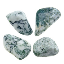 Tree agate, 4 stones
