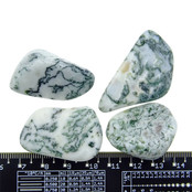 Beautiful tumbled tree agate Beautiful tumbled tree agate