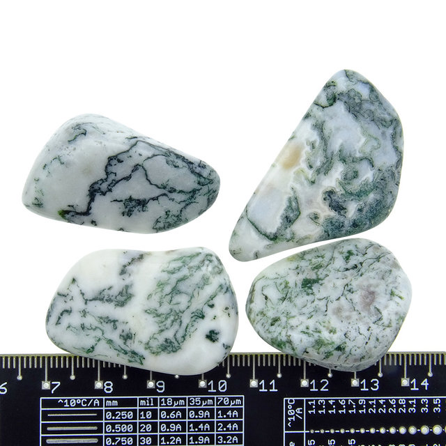 Beautiful tumbled tree agate Beautiful tumbled tree agate