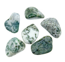 Beautiful tumbled tree agate