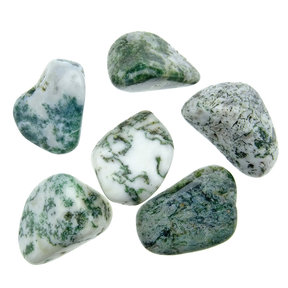 Tree agate, 6 stones