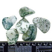 Beautiful tumbled tree agate Beautiful tumbled tree agate