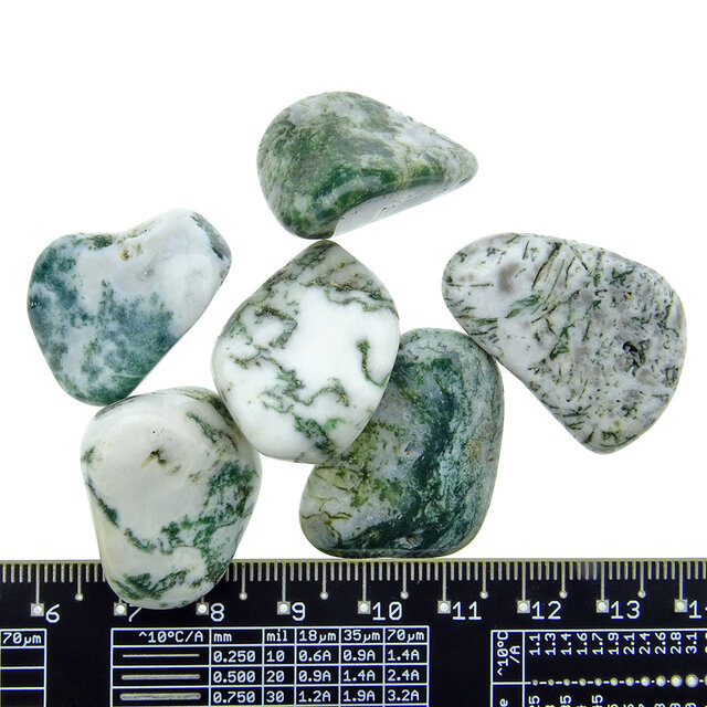 Beautiful tumbled tree agate Beautiful tumbled tree agate