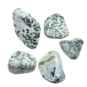 Beautiful tumbled tree agate Beautiful tumbled tree agate