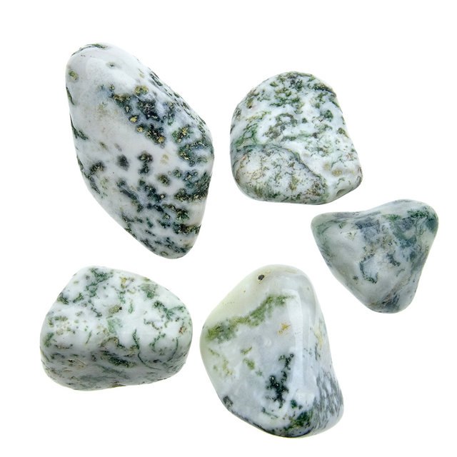 Beautiful tumbled tree agate Beautiful tumbled tree agate
