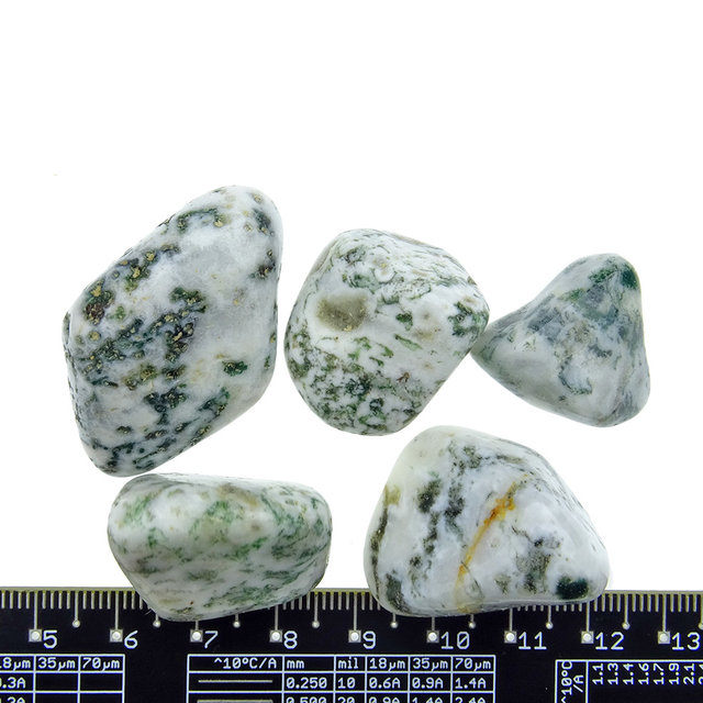 Beautiful tumbled tree agate Beautiful tumbled tree agate