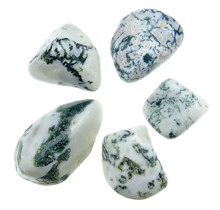 Beautiful tumbled tree agate