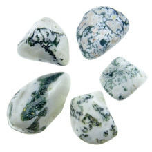 Tree agate, 5 stones