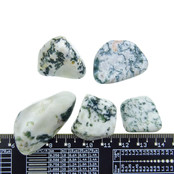 Beautiful tumbled tree agate Beautiful tumbled tree agate