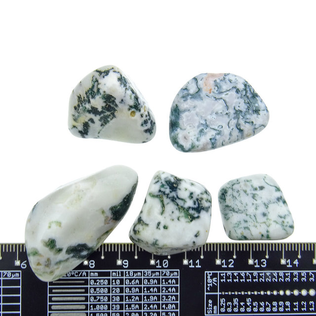 Beautiful tumbled tree agate Beautiful tumbled tree agate