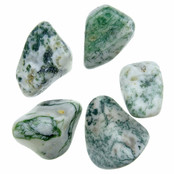 Beautiful tumbled tree agate Beautiful tumbled tree agate