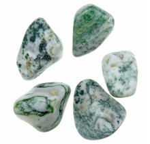 Beautiful tumbled tree agate