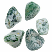 Tree agate, 5 stones