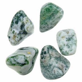 Tree agate, 5 stones