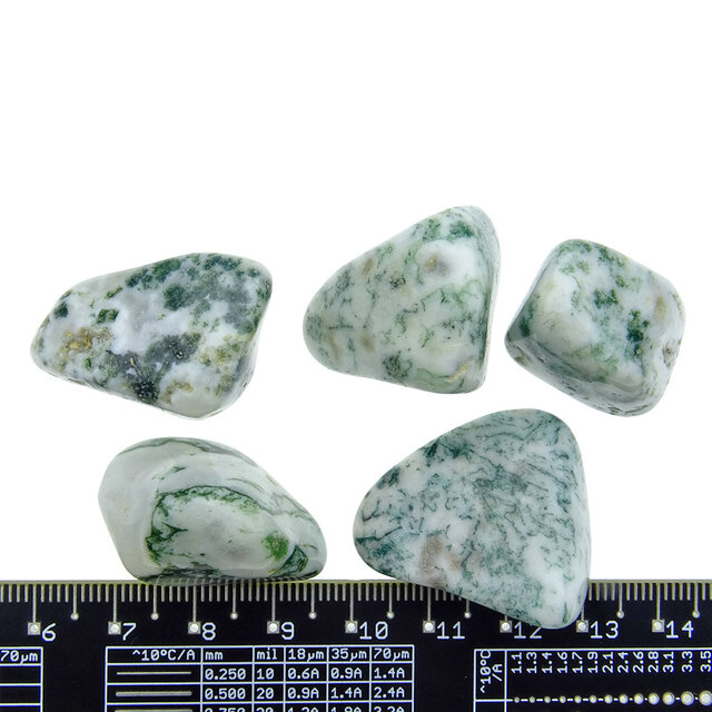 Beautiful tumbled tree agate Beautiful tumbled tree agate