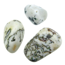 Tree agate, 3 stones