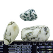 Beautiful tumbled tree agate