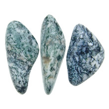 Tree agate, 3 stones