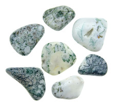 Beautiful tumbled tree agate