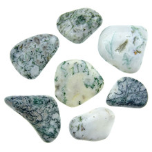 Tree agate, 7 stones