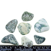 Beautiful tumbled tree agate Beautiful tumbled tree agate