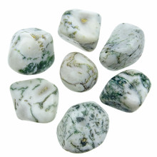 Tree agate, 7 stones
